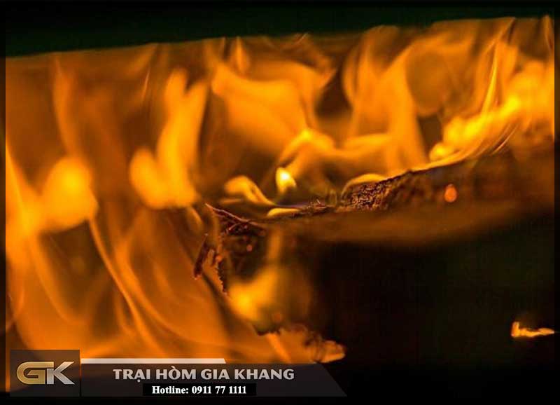 Hình thức hỏa táng